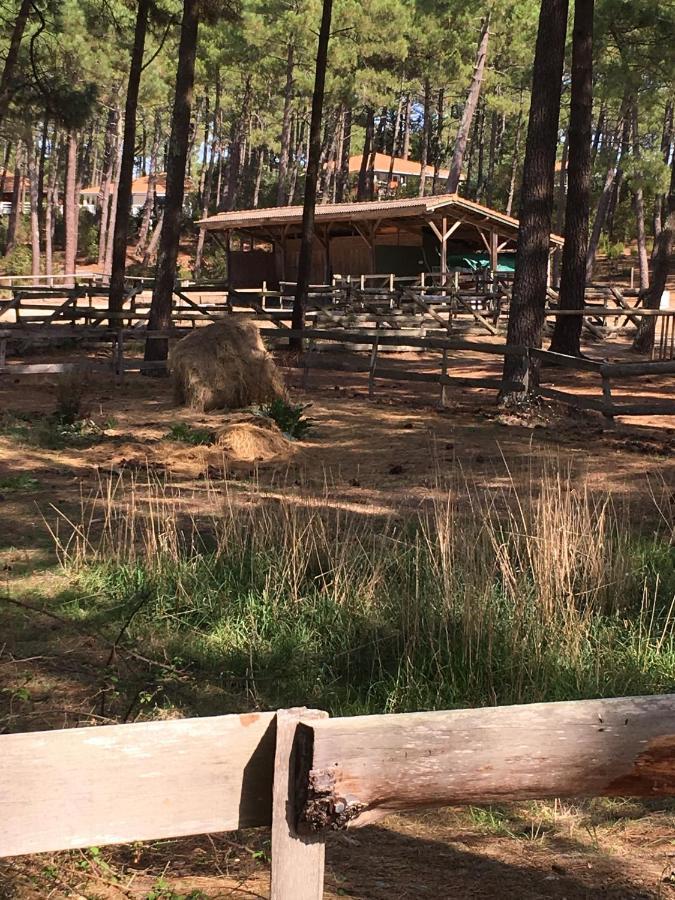 Chalet Orange Naturiste La Jenny Ле-Порж Экстерьер фото